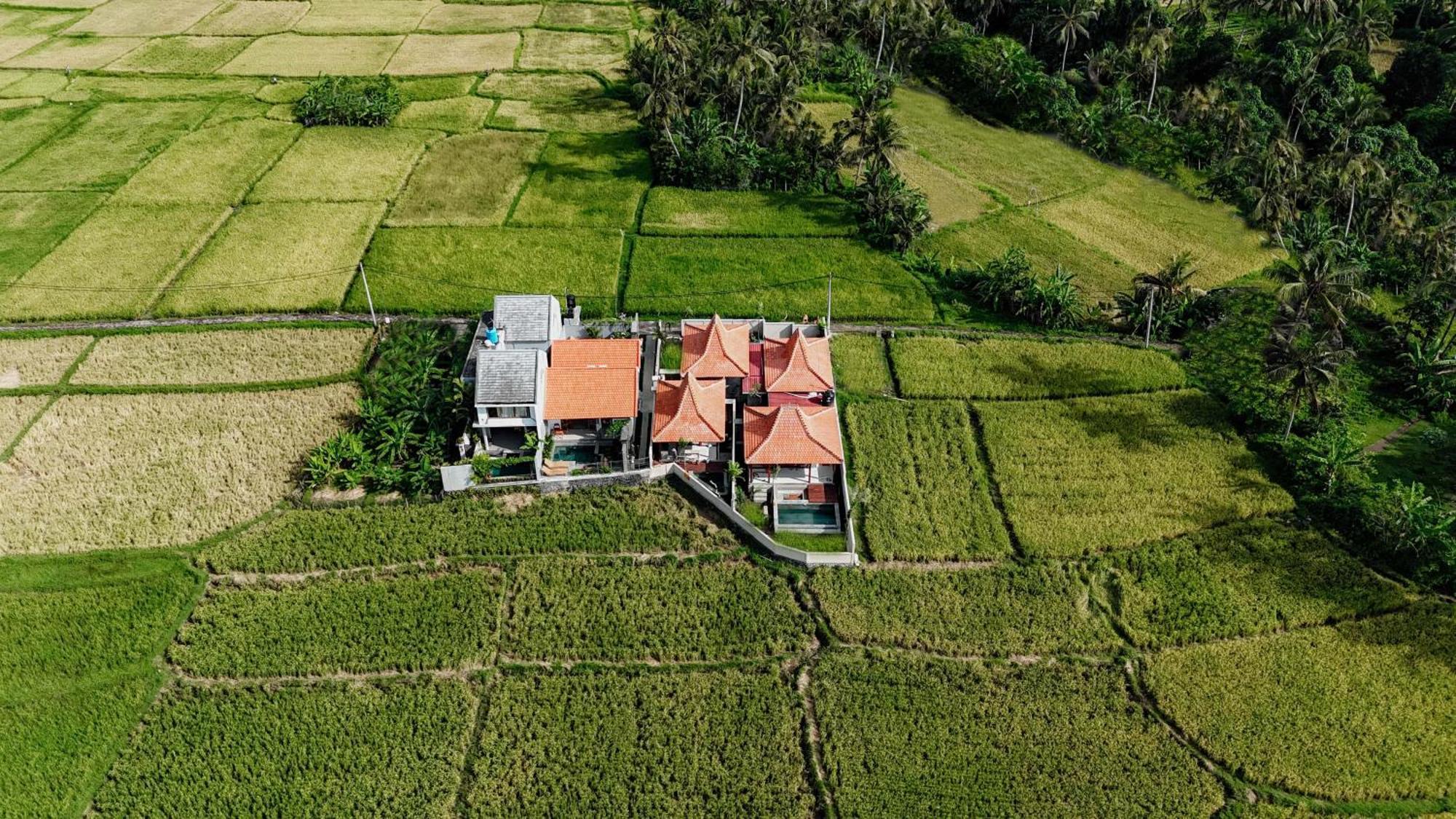 Weda Villas อูบุด ภายนอก รูปภาพ