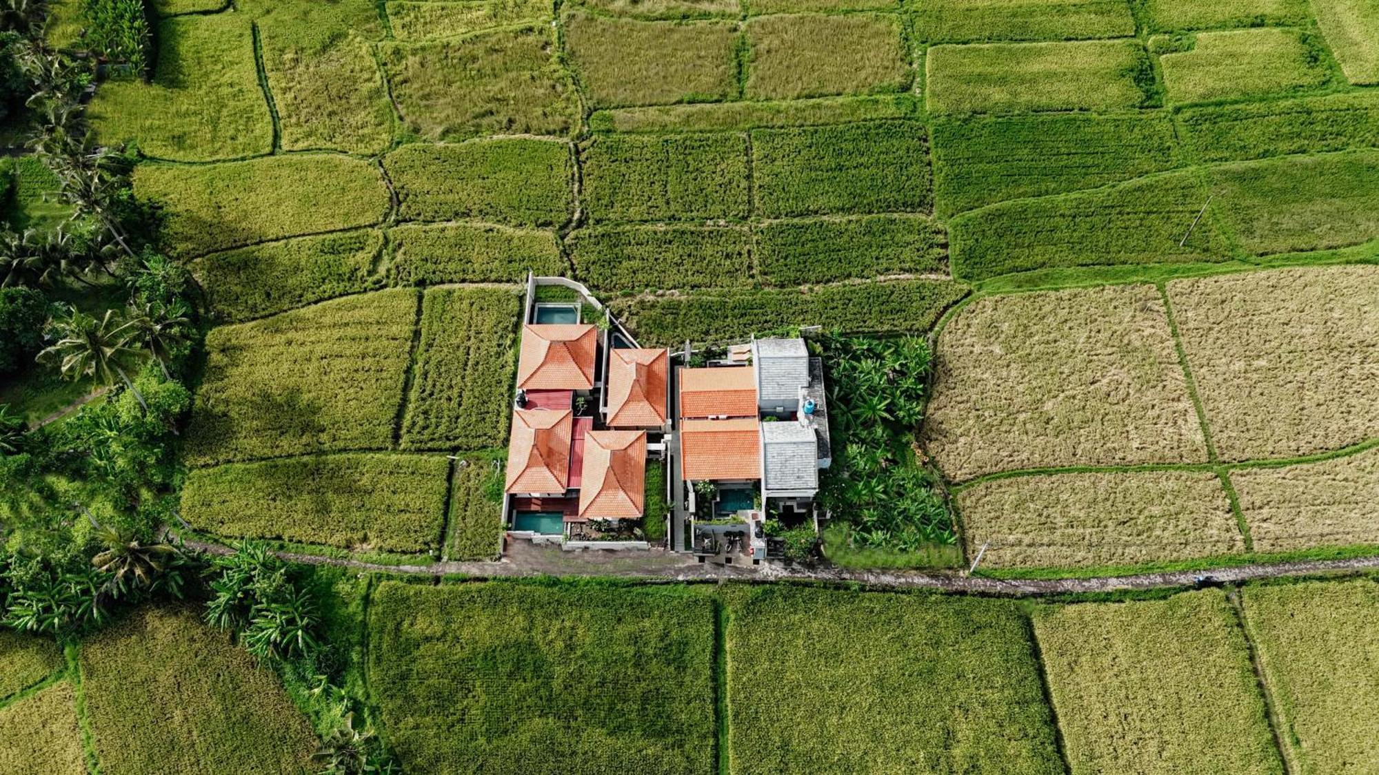 Weda Villas อูบุด ภายนอก รูปภาพ